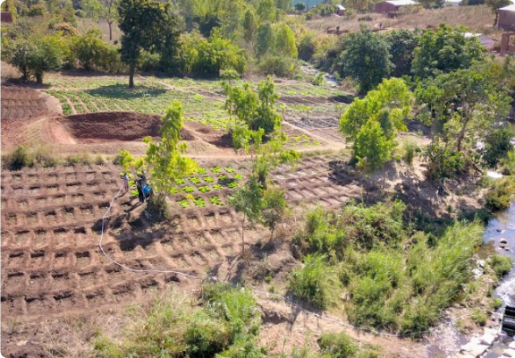 Irrigation in Malawi and Barsha Pump