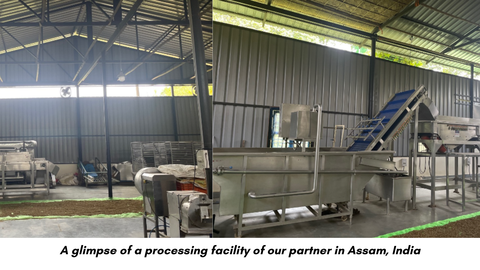 Processing facility in Assam